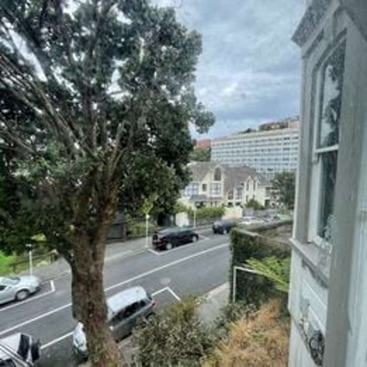 28 MacDonald Cres - flat 2 (ground floor)/28 MacDonald Crescent Te Aro_13