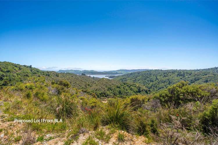 425 Pakawau Bush Road, Pakawau Golden Bay_4