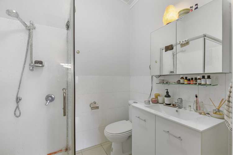 52 Wingate Street Avondale_5