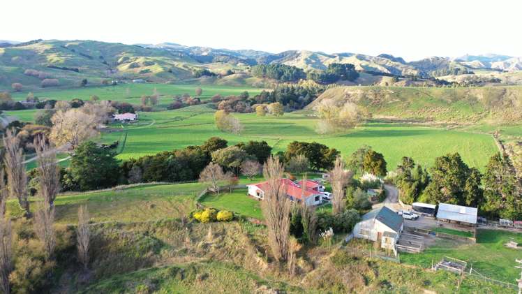 1550 Glenora Road Akitio_34