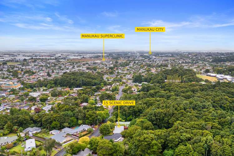 15 Scenic Drive Hillpark_15