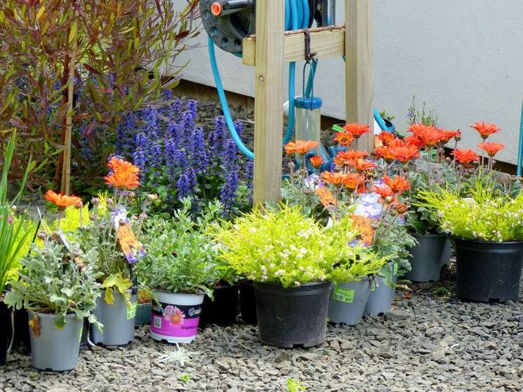 53 Kitewaho Road Swanson_95