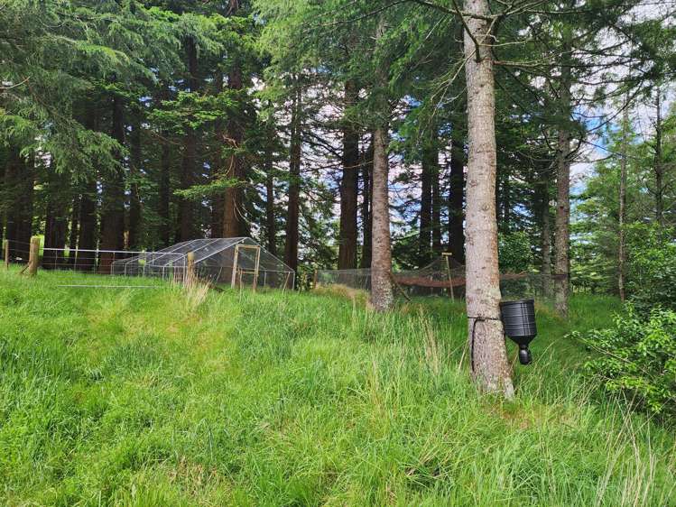 241 Work Road Aongatete_16