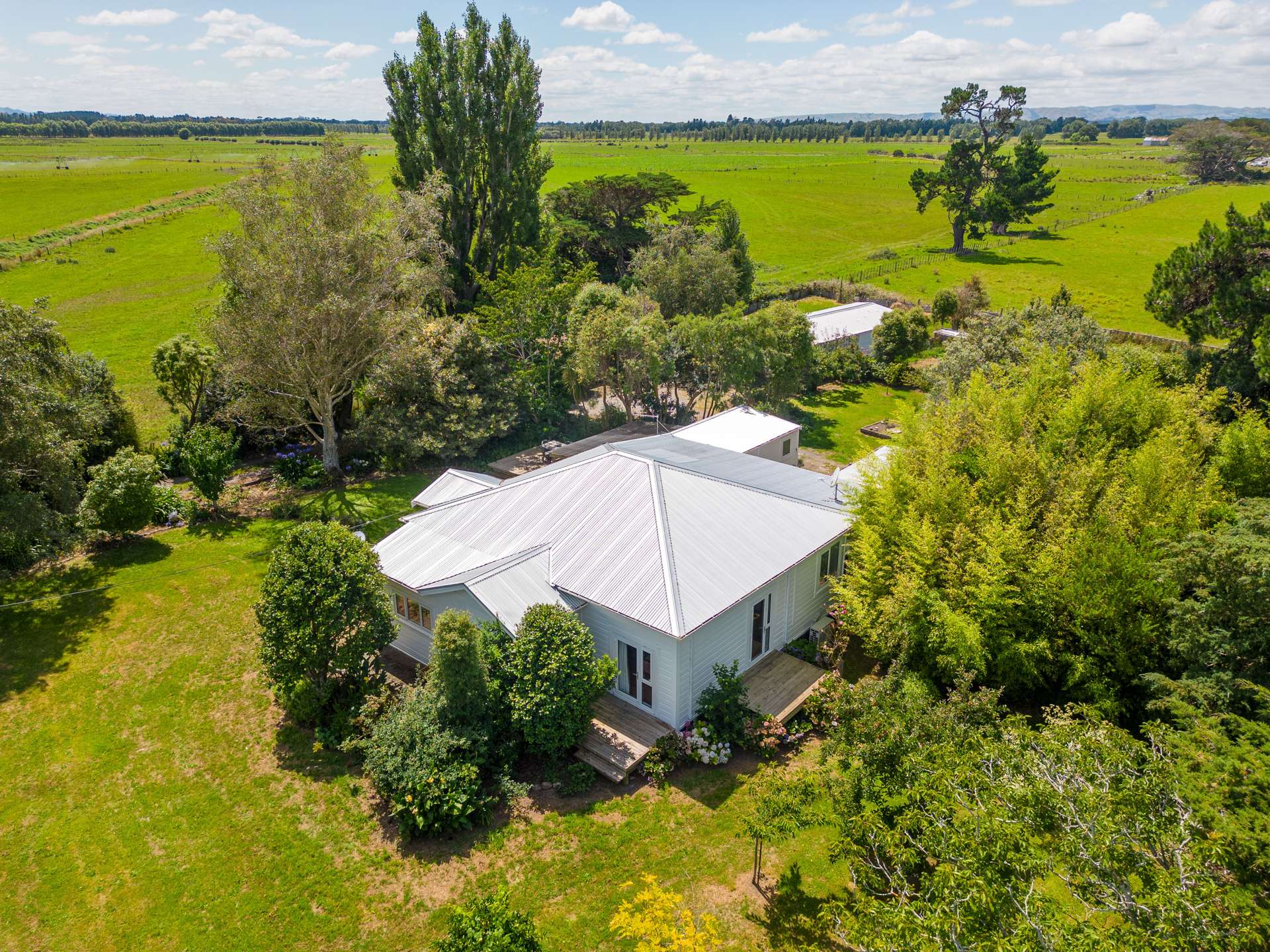 417 Murphys Line Featherston_0