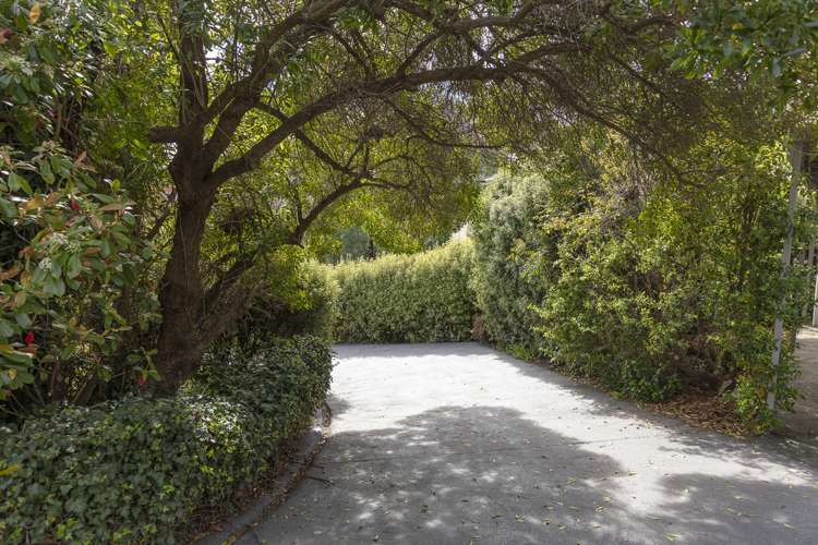 20b Hackthorne Road Cashmere_25