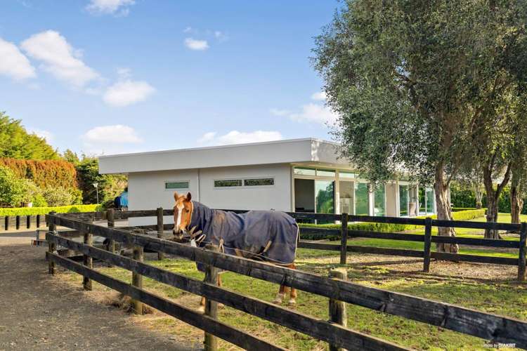 112 Dunrobin Lane Ararimu_18