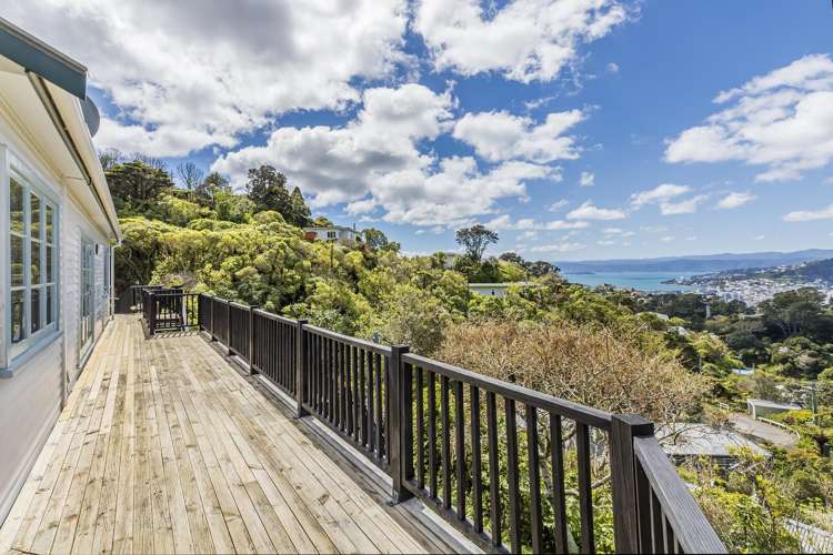 68 Mount Pleasant Road Aro Valley_24