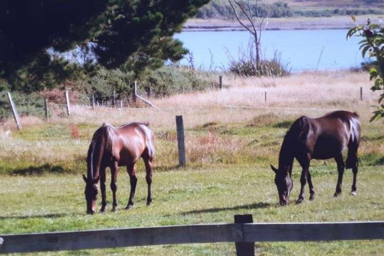 21 Pakawau-Bush Road Kahurangi National Park_18