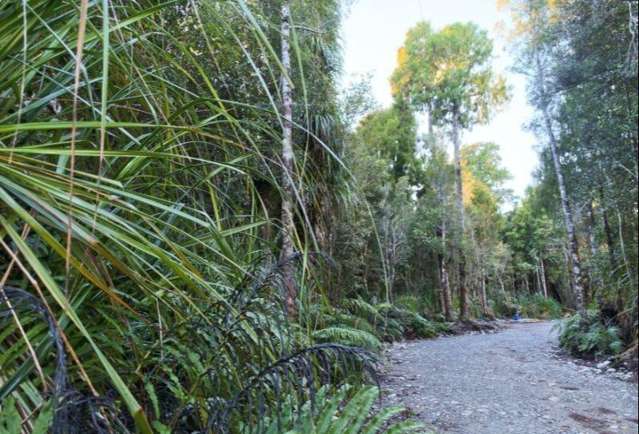 Lot 76 Sanctuary Place Kumara Junction_4