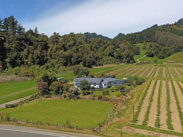 1573 Motueka Valley Highway Ngatimoti_1