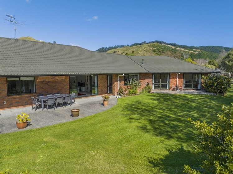 123 Maui Pomare Road Nikau Valley_13