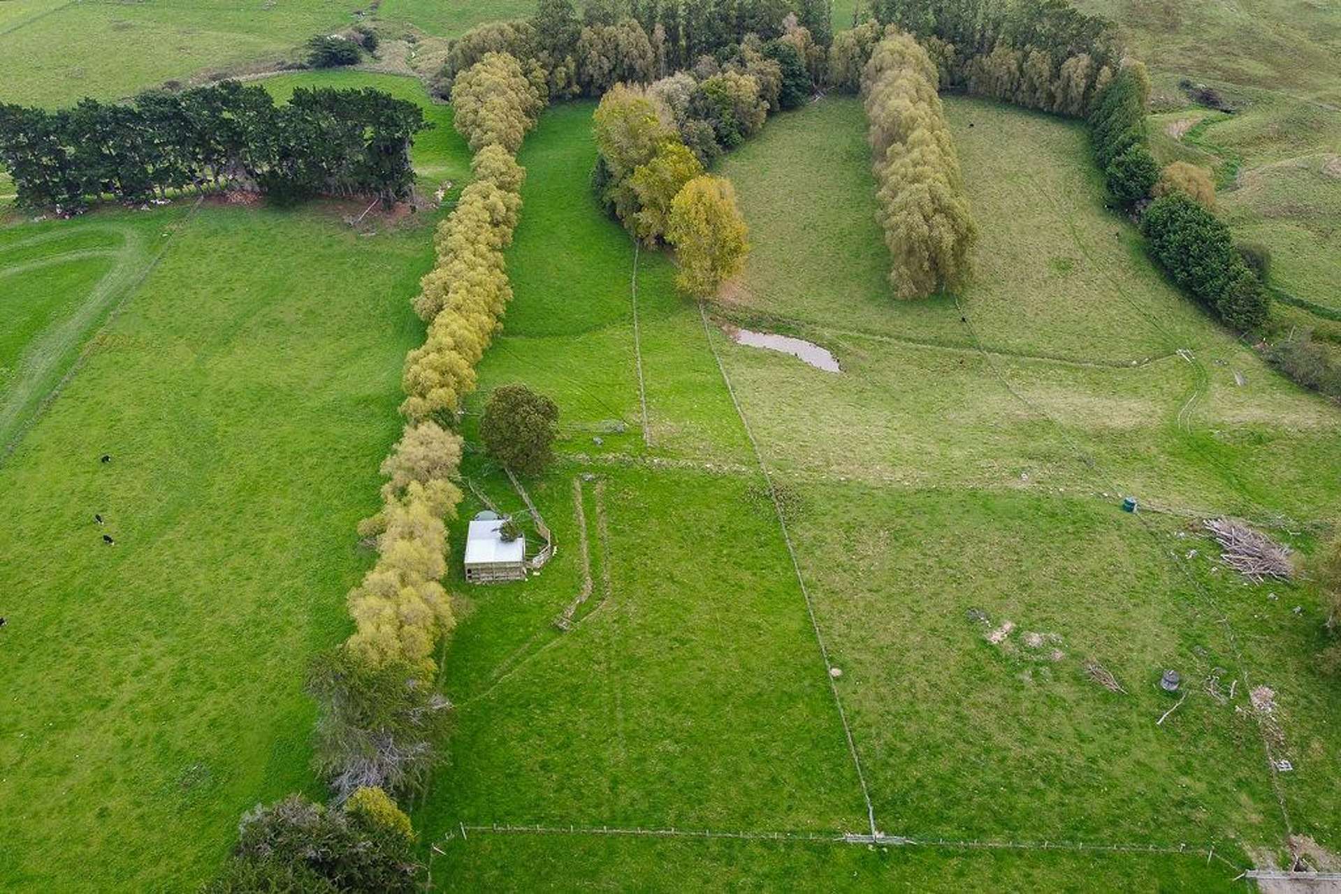 145 Umutaoroa Road Dannevirke_0