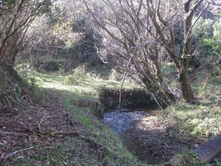 600 Tataramoa Road Rangitikei Surrounds_2