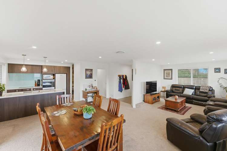 9A Wicksteed Street Vogeltown_5