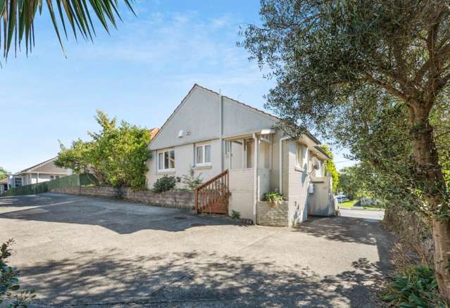 878 Dominion Road Mt Eden_3