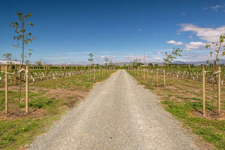 101 Flaxmill Drive Rarangi_27