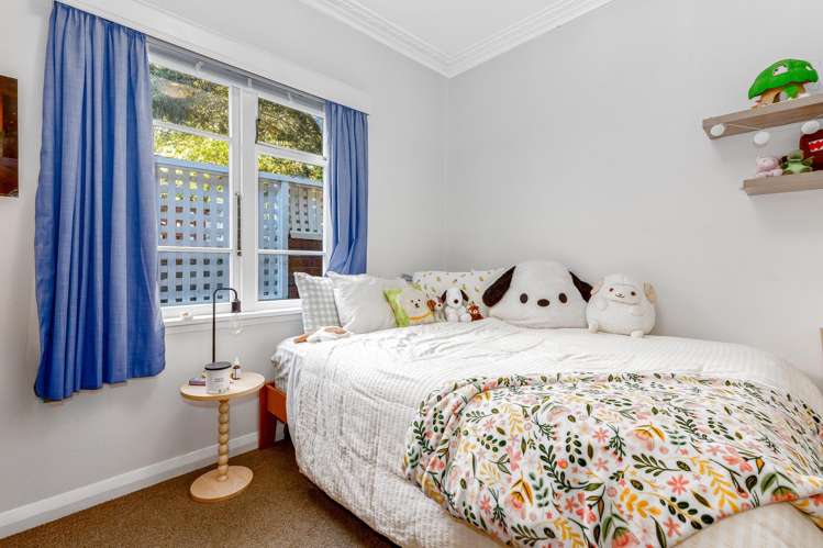 18 Wilberforce Street Miramar_14