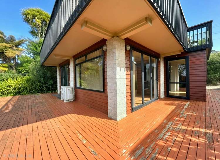 41B Layton Road Manly_8