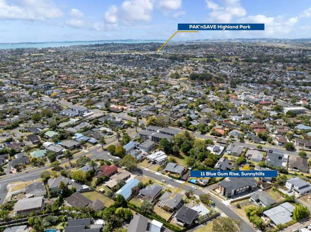 11 Blue Gum Rise Sunnyhills_4