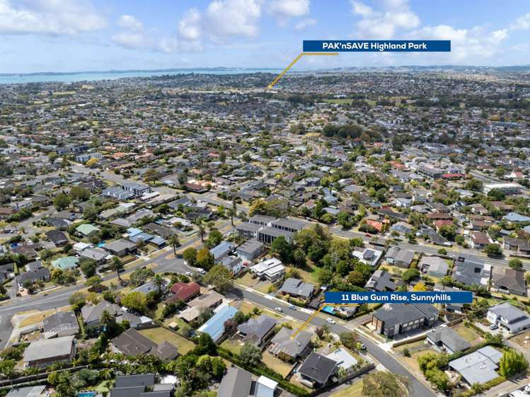 11 Blue Gum Rise Sunnyhills_4