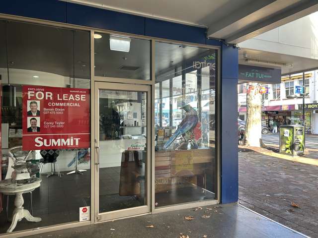 219 Trafalgar Street Nelson_2