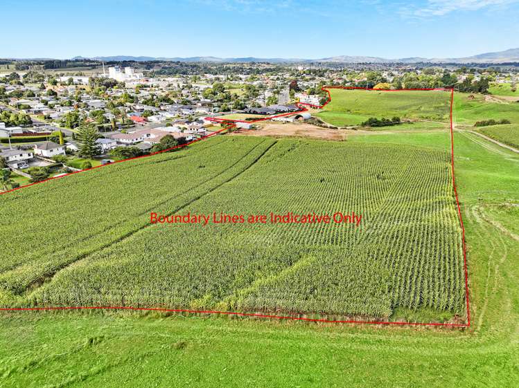 1599 Rewi Street Te Awamutu_2