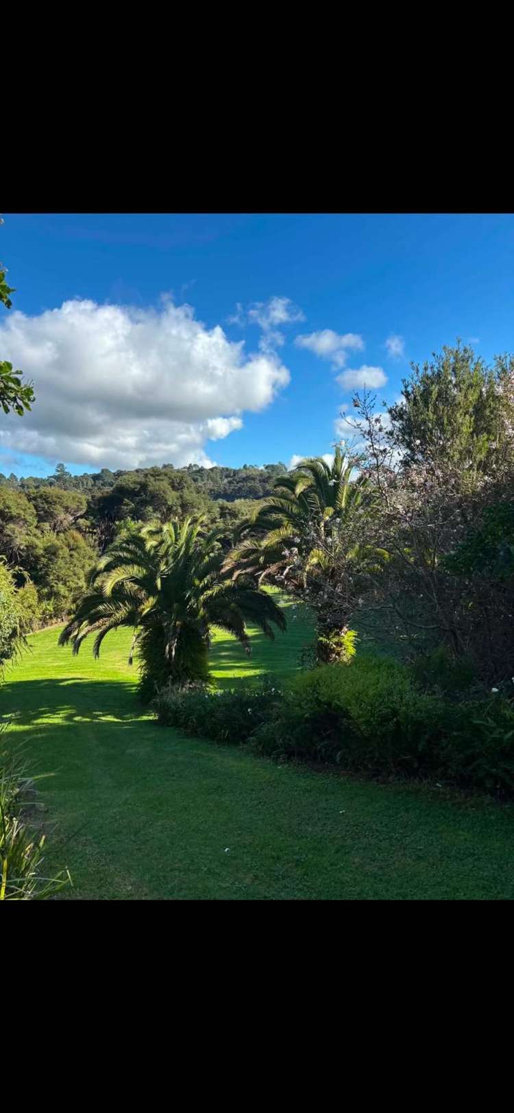 287 Glenvar Road Long Bay_16