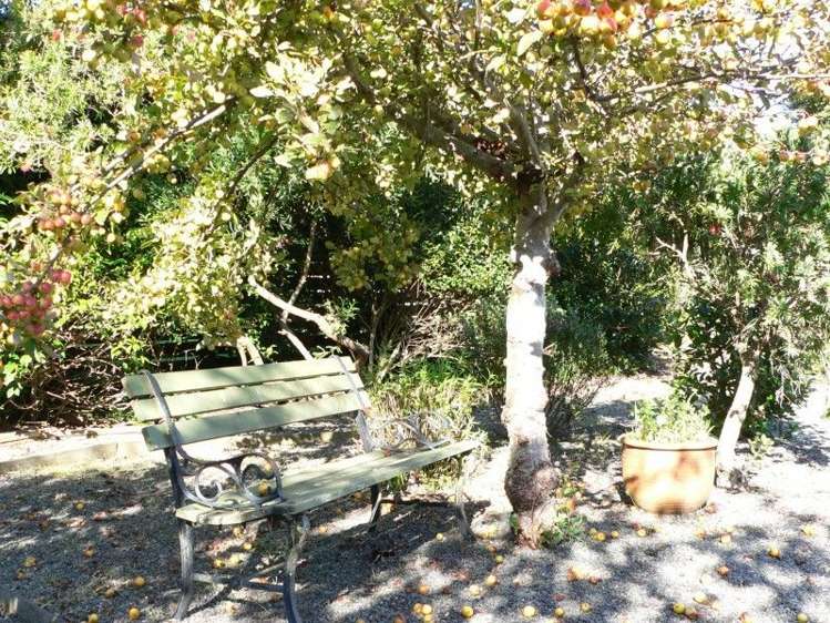 11 Koura Street Tangimoana_11