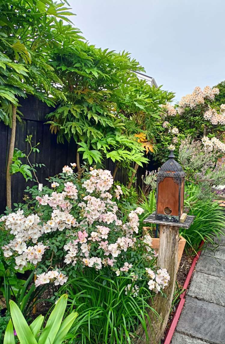 21 Dunrobin Place Avonhead_21