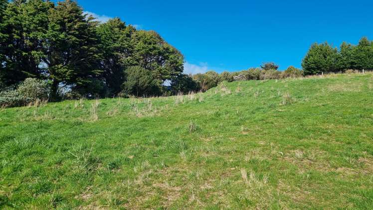 39 Castle Street Riverton_5