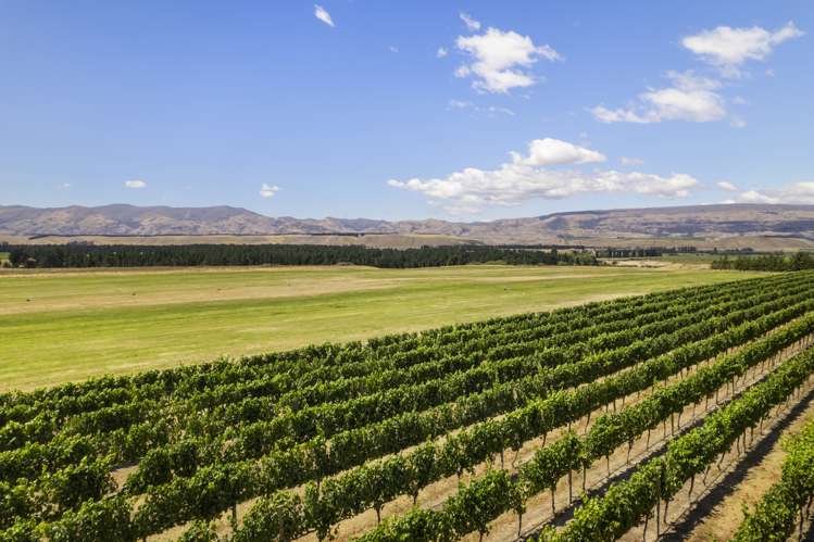 42a Gladsmuir Road Queensberry_5