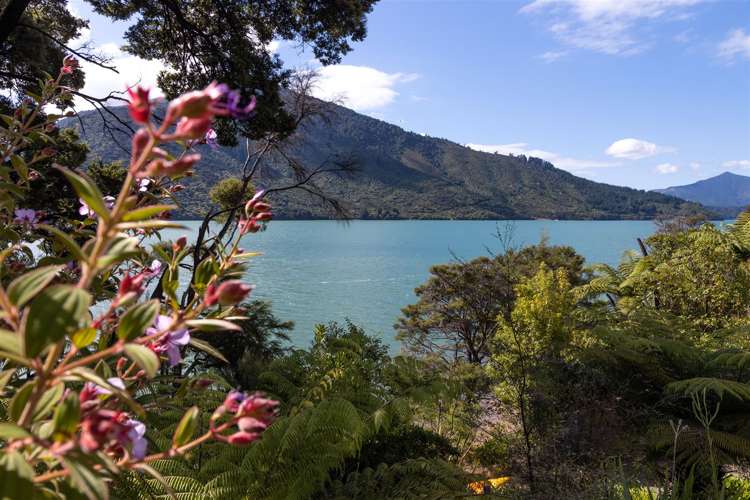 480 Moetapu Bay Road Anakiwa and Surrounds_28