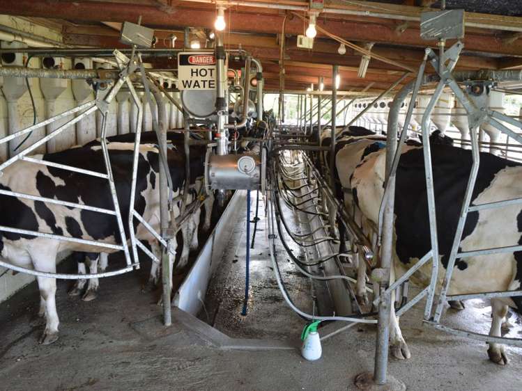 2237 Old Taupo Road Putaruru_19