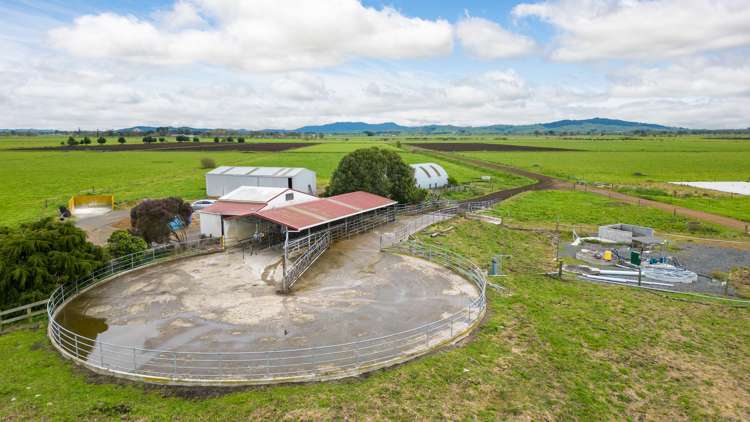 220 Valintine Road Gordonton_5