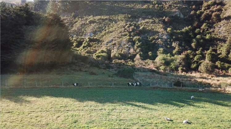 365 Paddys Alley Road Lumsden Surrounds_2