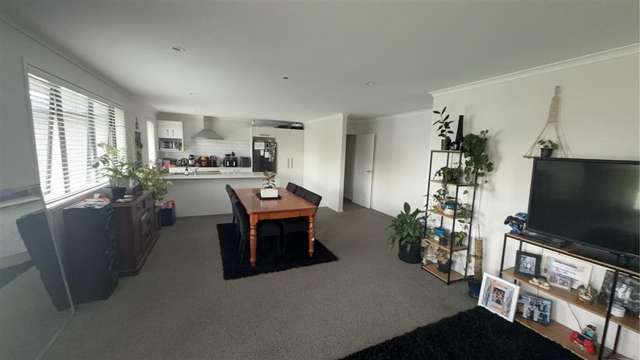 48 Willow Grove Morrinsville_1