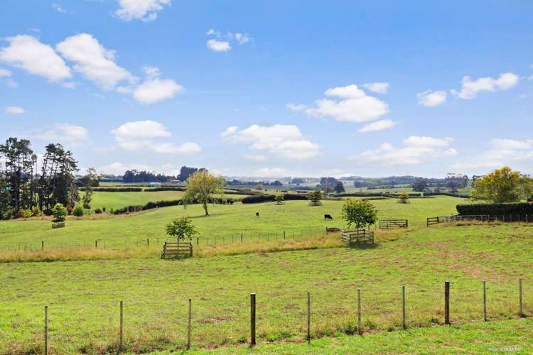 95d Ostrich Road Patumahoe_21