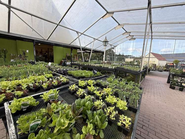 249-299 Main Road Kumeu_3