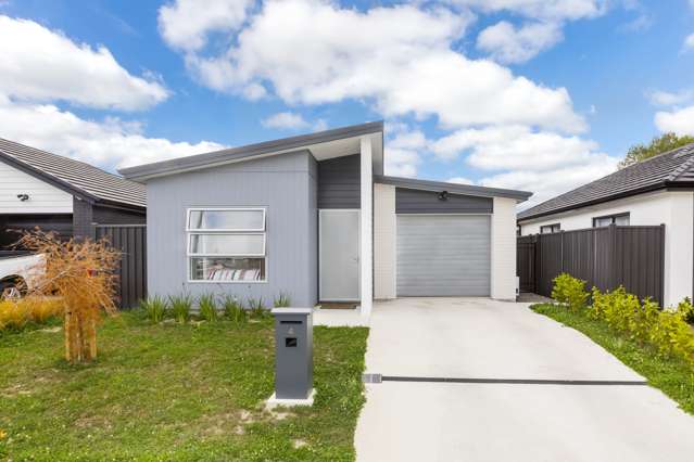 4 Te Kaeaea Crescent Wallaceville_1