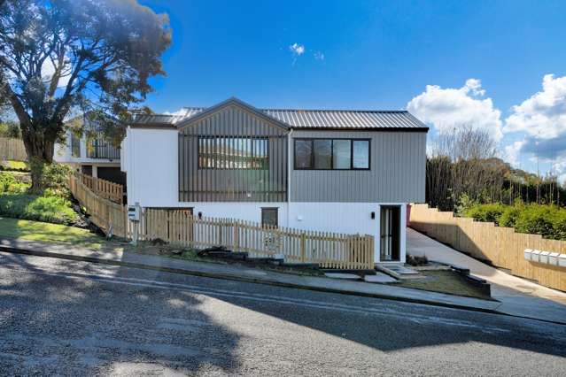 Lot 1/3 Catton Crescent Mount Roskill_2