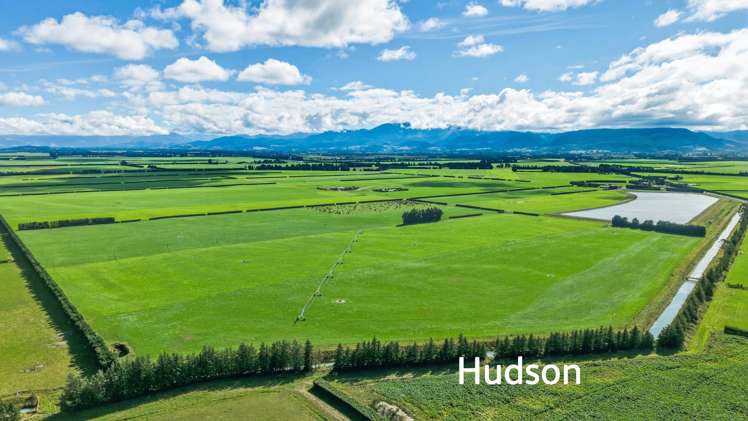 Aurora Dairies Te Pirita_5