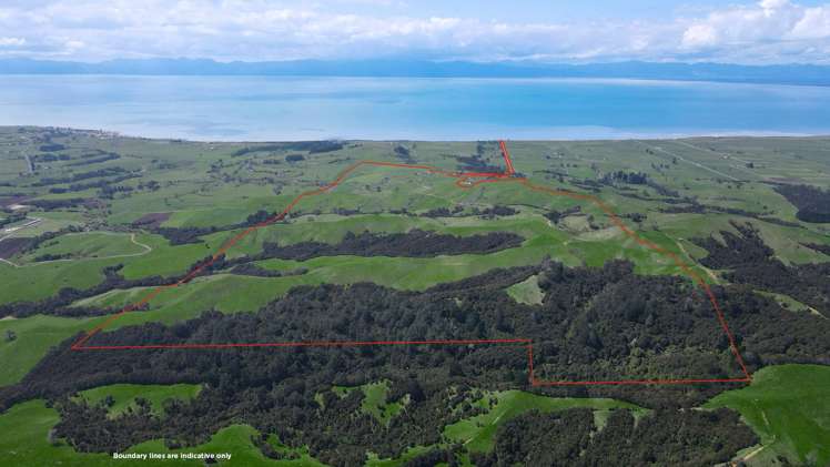 591D East Coast Road Kaiaua_7