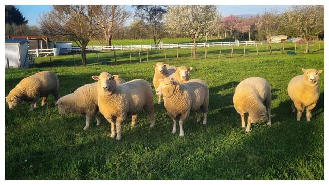 45 Bryant Road Brightwater_3