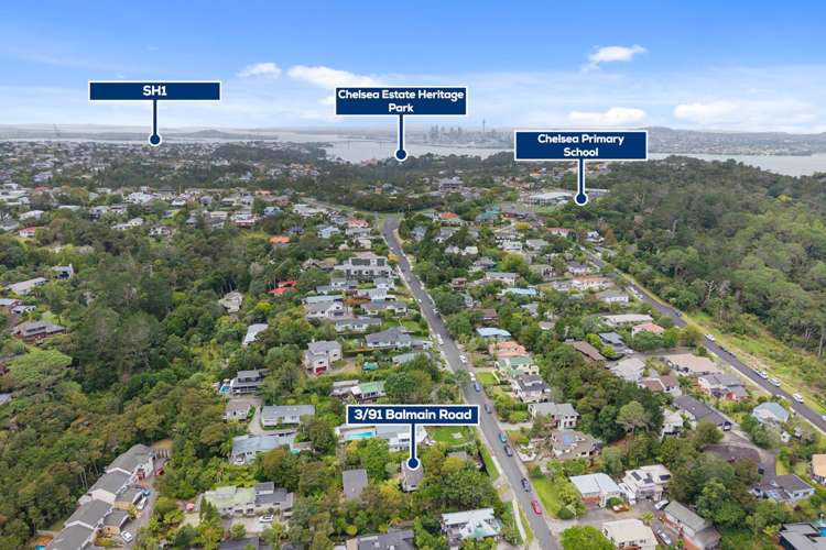 3/91 Balmain Road Birkenhead_25