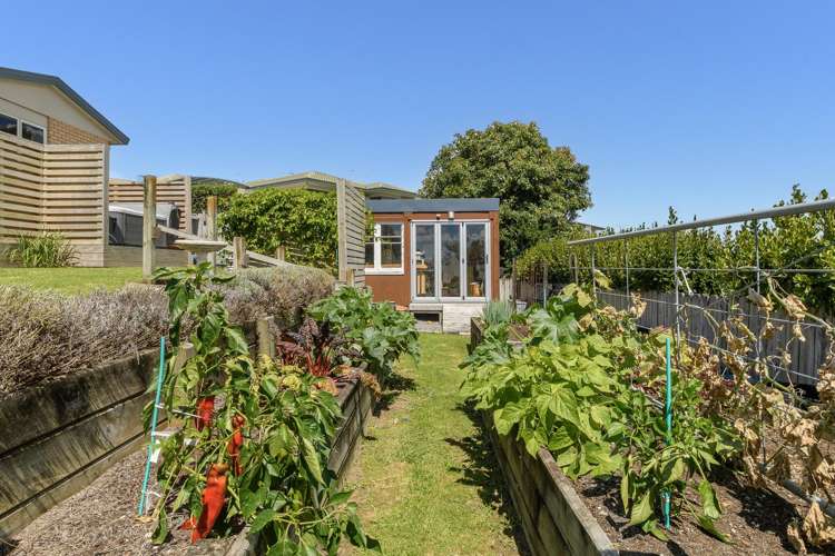 15 Diamond Head Hairini_16