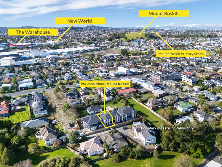 Lot 2/3 Jana Place Mount Roskill_13