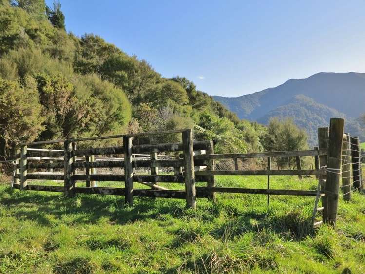 444 Aorere Valley Road Kahurangi National Park_19