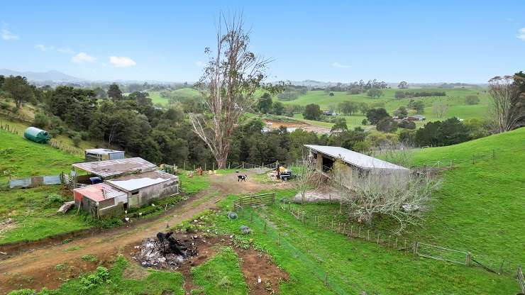 An entry-level lifestyle property on Te Puroa Road, in Ngāruawāhia, has a small historic forest on site. Photo / Supplied