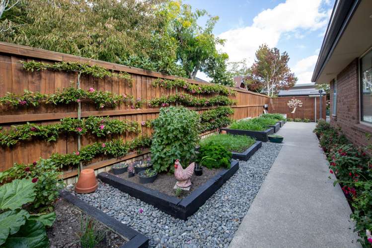 263 Southfield Drive Lincoln_20