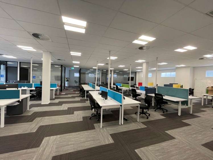 4 Murdoch Road Grey Lynn_5